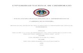UNIVERSIDAD NACIONAL DE CHIMBORAZOdspace.unach.edu.ec/bitstream/51000/6795/1/TESIS LUIS... · 2021. 2. 18. · universidad nacional de chimborazo facultad de ciencias polÍticas y