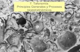 7. Tafonomía. Principios Generales y Procesos bioestratinómicosaragosaurus.com/secciones/docencia/tema/7-Fosiles Master... · 2015. 5. 7. · Procesos químicos: pueden englobarse