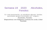 Semana 19 2020 Alcoholes, Fenoles · Propiedades físicas de alcoholes y fenoles • Debido a la presencia del radical –OH, los alcoholes y fenoles son más polares y pueden formar
