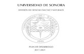 UNIVERSIDAD DE SONORA...PLAN DE DESARROLLO 2017-2021 2018 2019 2020 2021 •Apoyar a los PE de licenciatura, en su proceso de reacreditación. 3.2.3 Número total de programas educativos