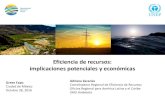 Eficiencia de recursos: implicaciones potenciales y económicasejkrause.com.mx/camp-green16/bitacora/enviro/enviro28...•A pesar del aumento de eficiencia, el potencial de la región
