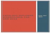 CATÁLOGO DIPLOMAS KINESIOLOGÍA CAS-UDD 2014medicina.udd.cl/files/2014/01/Catálogo-Diplomas-Abril... · 2014. 1. 3. · 3 Indicaciones Generales El presente Catálogo incluye información