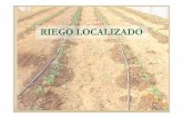 RIEGO LOCALIZADO · 2020. 6. 12. · Riego localizado. IRYDA. INTRODUCCIÓN Características generales: No se moja todo el volumen de suelo que el sistema radicular de la planta podría