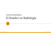 Anatomía Radiológica El Hombro en Radiología · 2021. 2. 15. · y adicionales para evaluar el hombro. 2. Anatomía Radiológica Estructuras óseas y tejidos blandos normales en