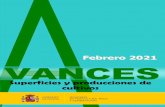 Febrero 2021 VANCES...Febrero de 2021 Se presentan las estimaciones disponibles de los cultivos y grupos de cultivos de mayor importancia en España co- rrespondientes al 28 de febrero