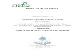 AGUAS DEL ALTIPLANO S.A.bdrnap.mma.gob.cl/recursos/SINIA/Biblio SP-64/INFORME... · 2018. 10. 24. · aguas del altiplano s.a. informe enero 2009 monitoreo ambiental de flora y fauna