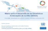 Marco para el Desarrollo de las Estadísticas Ambientales de ......Tegucigalpa, Honduras 9-13 de marzo 2020 Marco para el Desarrollo de las Estadísticas Ambientales de la ONU (MDEA)
