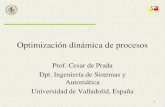 Optimización dinámica de procesosprada/Optimizaciondinamica.pdf · 2021. 7. 6. · Optimización dinámica de procesos Prof. Cesar de Prada Dpt. Ingeniería de Sistemas y Automática