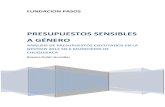PRESUPUESTOS SENSIBLES A GÉNERO...análisis y la orientación de la inversión pública en igualdad de género en Bolivia, pag. 33 Con la conformación de la Mesa Nacional de Presupuestos