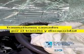 Traumatismos causados por el tránsito y discapacidadestado de la seguridad vial en la Región de las Américas” (OPS, 2009), los traumatismos causados por el tránsito ocasionan