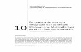 RAICES ANDINAS Contribuciones al conocimiento y a la ...cipotato.org/wp-content/uploads/2014/09/10_Manejo_chisas.pdf2014/09/10  · A. sineta A. s p . A. scarabeoides A. vulgaris G