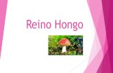 Reino Hongo · 2019. 9. 8. · Uno de estos reinos de organismos es justamente el Reino Fungi, que conocemos comúnmente como el de los Hongos y tiene a una gran variedad de representantes