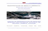 MANIFESTACION DE IMPACTO AMBIENTALsinat.semarnat.gob.mx/dgiraDocs/documentos/yuc/estudios/... · 2014. 2. 13. · IXOYE, TROPICALES, S.A. DE C.V. MANIFESTACION DE IMPACTO AMBIENTAL