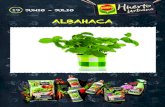19 Albahaca Ficha Plantas Recetario · 2021. 4. 13. · ˜ores se usan como condimento de ensaladas y pastas, junto con otras hierbas, vinagre o aceite, como es el caso de la salsa