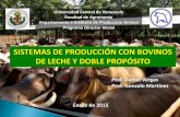 SISTEMAS DE PRODUCCIÓN CON BOVINOS DE LECHE Y …portal.ucv.ve/.../facultad_agronomia/PDI/2015/CLASE_10.pdf · 2015. 4. 26. · • Producción simultanea de leche mediante el ordeño