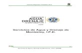 Servicios de Agua y Drenaje de Monterrey, I.P.D. · 2018. 8. 15. · Informe Segundo Trimestre 2015 45. Servicios de Agua y Drenaje de Monterrey, I.P.D. (SADM) 2 SERVICIOS DE AGUA