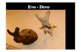 Evo - Devo - EGE...Ej. genes que controlan el desarrollo del SN en vertebrados e invertebrado Hox complex: especifican la identidad antero-posterior de cada segmento corporal en metazoos