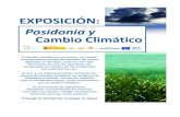 Posidonia y Cambio Climático Organiza: Con el apoyo de · 2021. 7. 30. · La exposición Posidonia y Cambio Climático consta de 10 paneles de 2,10 x 1,20 m y 8 cubos de 50x50cm,