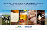 BIOGÁS DE RESIDUOS AGROPECUARIOS EN LA ...Tabla 7: Detalle de número de cabezas de cerdo y producción de purines por tamaño de explotación en la 38 Región de Los Ríos. Tabla