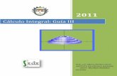 Cálculo Integral: Guía III - Inicio - IPN