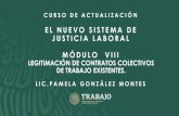 EL NUEVO SISTEMA DE JUSTICIA LABORAL MÓDULO VIII