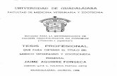 UNIVERSIDAD DE GUADALAJARA - biblioteca.cucba.udg.mx:8080