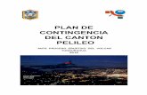 PLAN DE CONTINGENCIA DEL CANTON PELILEO
