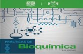 Prácticas De Bioquímica - UNAM