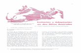 Imitación y Adaptación en dos Mitos Australes