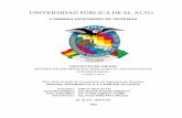 UNIVERSIDAD PÚBLICA DE EL ALTO