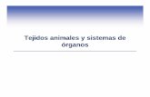 Tejidos animales y sistemas de órganos