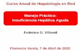 Curso Anual de Hepatología en Red Manejo Práctico ...
