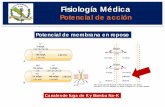 Fisiología Médica - FISIOLOGIA BASICA - INICIO