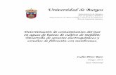 Universidad de Burgos - RIUBU Principal