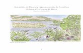Humedales de Moncul y Laguna Asociada de Trovolhue Guía ...