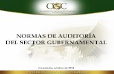 NORMAS DE AUDITORÍA DEL SECTOR GUBERNAMENTAL