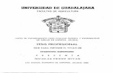 UNIVERSIDAD DE GUADALAJ - repositorio.cucba.udg.mx:8080