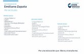 SECUNDARIA EN LICENCIATURA EN Educación Emiliano Zapata ...