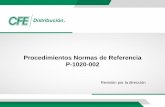 Procedimientos Normas de Referencia P-1020-002
