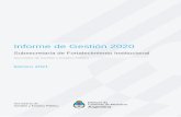 Informe de Gestión 2020 - Argentina