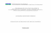 pdf-Disserta o - T cnicas de cultivo in vitro e ...