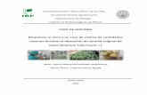TESIS DE DIPLOMA Respuesta in vitro y en casa de cultivo ...