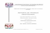 REPORTE DE TRABAJO PROFESIONAL