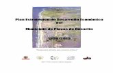Plan Estratégico de Desarrollo Económico del Municipio de ...