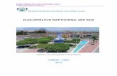 PLAN OPERATIVO INSTITUCIONAL AÑO 2019