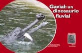 Gavial: dinosaurio fluvial