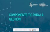COMPONENTE TIC PARA LA GESTIÓN - Gobierno digital