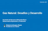 Gas Natural: Desafíos y Desarrollo - infoMercatiEsteri
