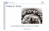 Tema 2: Virus - Agrega