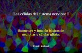 Las células del sistema nervioso I